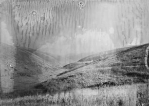 Tal : Blick ins Tal