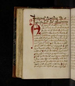 Ps.-Sophronius Eusebius Hieronymus: Homilia ad monachos