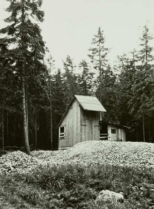 Tannenbergsthal-Gottesberg, Kaue der Dreikönigsbinge mit Halde