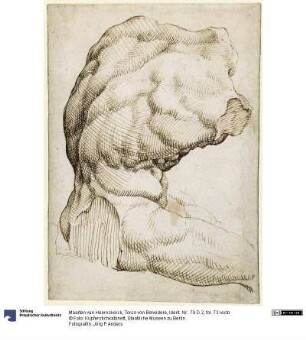 Torso von Belvedere