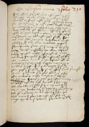 210r-213v Tractatus de assumptione BMV