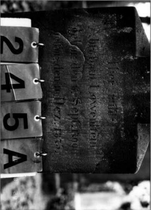 Grabstein 245A
