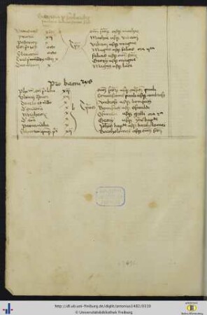 Handschriftlicher Auszug aus den Statuta artium facultatis studii Friburgensis (Abschn. 22 u. 25) von 1490.