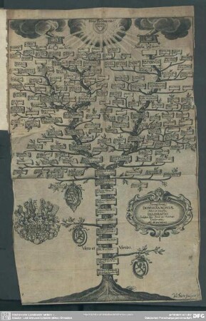 Serenissima Domus Saxoniae. Nova et exacta De Lineatio Incliitae Eius Famae ac Virtuti Consecrata. A. MDCXLVI