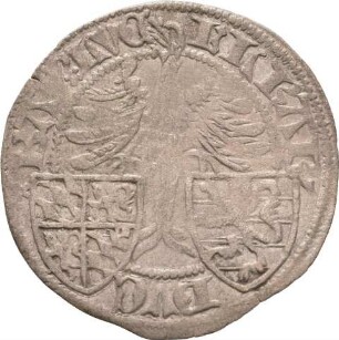 Münze, 1/2 Groschen, 1434 -1435