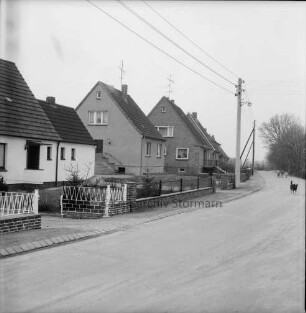 Neubausiedlung an der Schweineweide [Rübland, Neue Straße]: links Siedlungshäuser mit Vorgärten: hinten Strommasten: rechts hinten drei Kinder, davor Hund