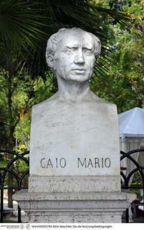 Büste des Gaius Marius