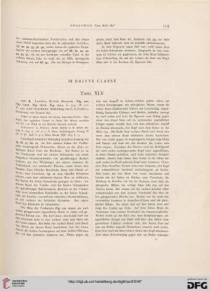 III: Dritte Classe
