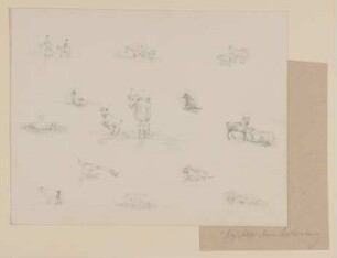 Tierstudien [aus Mappe III aus dem Sommerhoff-Nachlass]