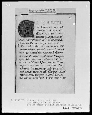Lectionar — Initiale E(lisabeth), Folio 24recto