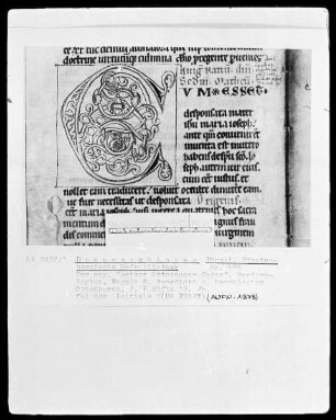 Hs. 655 & Weißer Ottobeurer Codex & Necrologium & Regula S. Benedicti & fol 84v