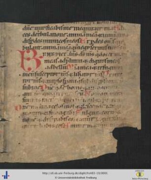 Lateinisches Psalterium, Fragment