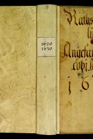 Ratsprotokolle, 1629 Juli 28. - 1630 Juni 28.