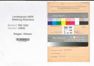 Entnazifizierung Wilhelm Stiegler, geb. 02.11.1892, NSDAP-Kreisleiter