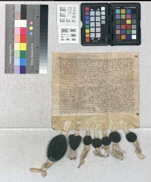 Bischof Heinrich von Paderborn bestätigt als Lehnsherr, dass die von Elmaringhusen ihren Hof Nederehof zu Brochusen bei Wevere dem Domkapitel verkauft haben.
