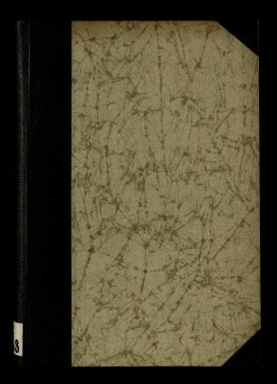 Pensieri e chiose sulla Divina Commedia del gondoliere Antonio Maschio