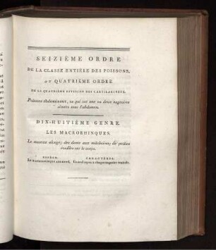 SEIZIÉME ORDRE