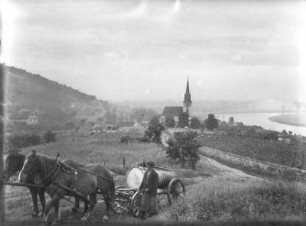 Auftrag Schulmuseum Dresden. Serie "Elbe". Groß Zernosek (Velké Žernoseky). Ortsteilansicht mit Kirche. Blick über einen Weinberg und zum Elbbogen. Ansicht mit Pferdefuhrwerk im Vordergrund