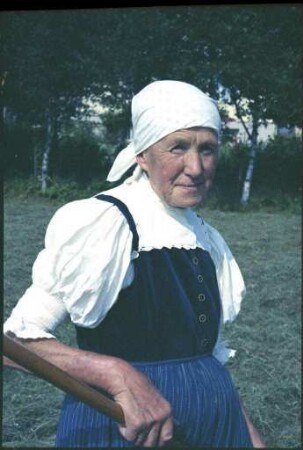 "Hippewiib" beim Heuen