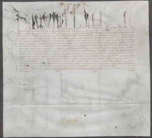 Papst Alexander VI. bestätigt die Rechte und Besitzungen des Klosters Augia Dei [Gottesau]