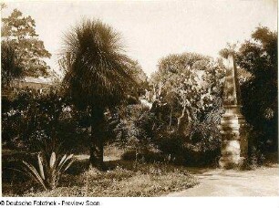 Botanischer Garten Palermo. Ansicht mit Obelisk
