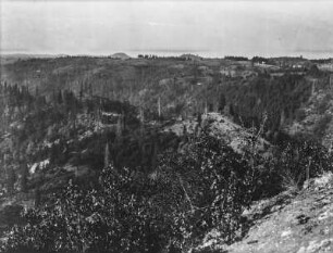Hügellandschaft : Eine Hügellandschaft mit Baum- und Buschvegetation in Massachusetts oder Connecticut