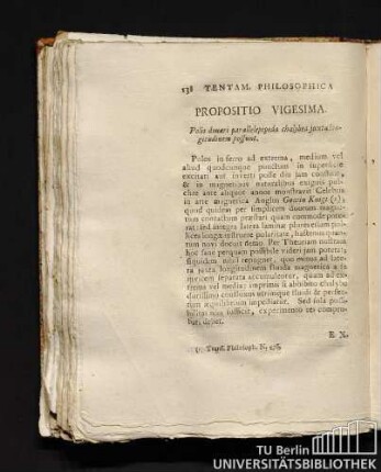 20. Propositio Vigesima. Polis donari parallelepipeda chlybea juxtalongitudinem possunt.
