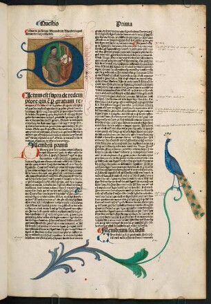 Questio I-II
