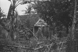 Arbeiterhaus der Tabakpflanzung Deli Toewa : Blick auf ein Holzhaus in einer Dschungellandschaft