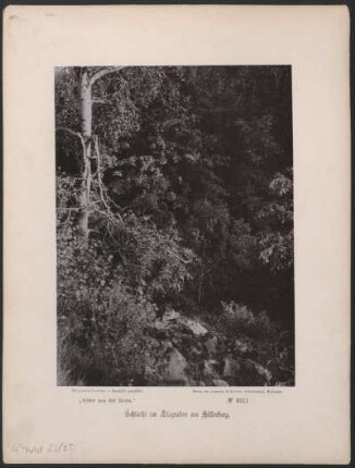 Schlucht im Lisgraben am Hillenberg.