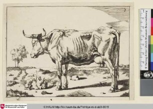 [Autre vache debout; Stehende Kuh nach links gewandt in karger Landschaft]