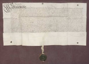 Huldigung der Stadt Heidelberg gegenüber Kurfürst Friedrich V. von der Pfalz.