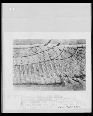 Hieroglyphe: Falke, Horus