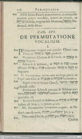 Cap. XVI. De Permutatione Vocalium