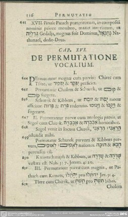 Cap. XVI. De Permutatione Vocalium