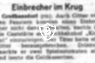 Einbrecher im Krug