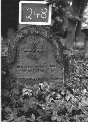 Grabstein 248 (Index: 99894676) Material: Sandstein Zustand: im unteren Teil abgeblättert und eingesunken Maße HxBxT: 65x61x10 cm Beschreibung: Stele mit eingezogenem Rundbogenabschluss Symbolik: Blüte: Grabstein 248