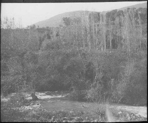 Mündung d. nahr essa'ar [nahr oder wadi es-saar] in nahr banias [nahr banyas]