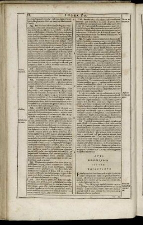 Aves. Colloquium Sextum.