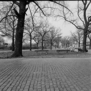 Dr.-Friedrich-Wolf-Straße