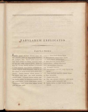 Tabularum Explicatio.