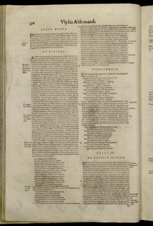 Caput IV. De Nautilo Altero.