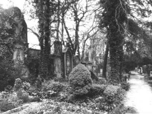 Bautzen. Taucherfriedhof (um 1523). Westliche Friedhofsmauer mit Wanddenkmälern (17. und 18. Jh.)
