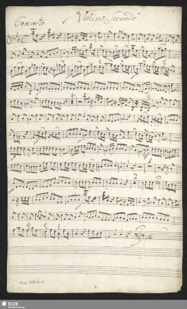 Violino secundo