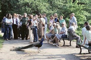 Berlin: Pfaueninsel, Havel: Führung; Gruppe mit Pfau