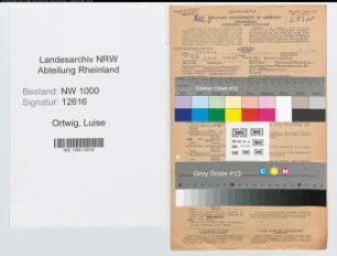 Entnazifizierung Luise Ortwig, geb. 20.09.1911 (Bankangestellte)