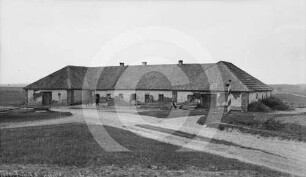 Krug Wischeln