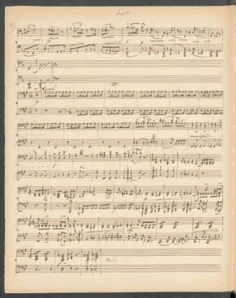IV. Rasch