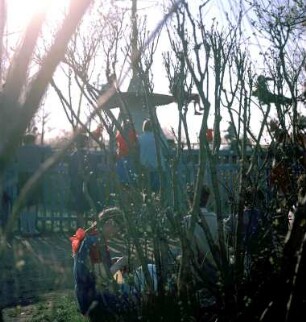 Karussell und Parkbesucher hinter Ästen und Zweigen im Gorki-Park
