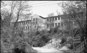 Warburg: Konservenfabrik, Gesamtansicht von der Straße, Vordergrund Bäume